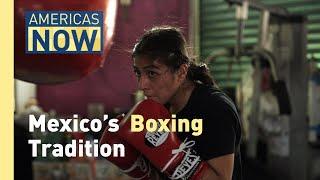 Mexico's Boxing Legacy