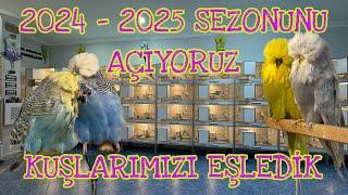 Show Jumbo Muhabbet Kuşlarımızı Eşledik 2024-2025 Sezonu Hayırlı Olsun