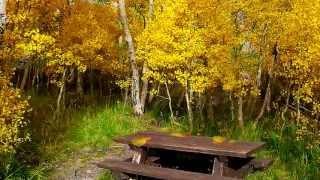 Осень это сны листопада