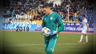 Дмитрий Непогодов ● Saves - 2019