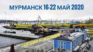 МУРМАНСК 2020. ЛЕСТНИЦА к Памятнику "Ждущей". Закат. Ночь. Новый терминал на нижней Росте.