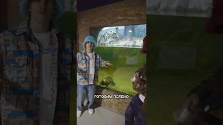 Поём бобру песню про бобра. (Воронежский Заповедник им. Пескова) #slavaskripka #бобр #бобёр