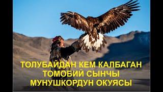 ТОЛУБАЙДАН КАЛЫШПАГАН ТОМОБИЙ СЫНЧЫ МУНУШКОР ЖАНА ЛЕГЕНДАРЛУУ БУРКУТУ МЕНЕН БОЛГОН ОКУЯ