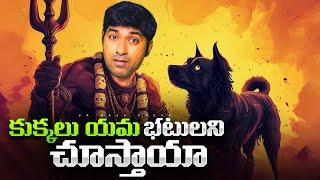 Superstitions & Reality Of Dogs Vision, Mysterious Antarctica Pyramid | Telugu | VR Raja Facts