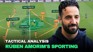 Ruben Amorim's Tactics: How He's Making Sporting CP Unstoppable