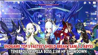 EndGame Top 5 Fastest Shield Break Team 5.2 Abyss : Tenebrous Papilla Boss 2.5M HP Showdown