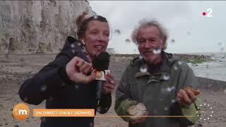 A Ault, au pied des falaises de la Baie de Somme // Télématin - Fenêtre sur les régions - France 2