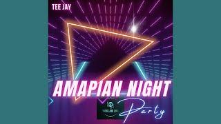 Amapiano Mix 2024 | Amapiano Nitght Party Mix | Tee Jay | Kabza De Small Dj stokie | DJ Maphorisa