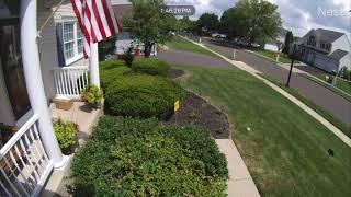 My Nest camera caught the moment a bird flew full speed into our window