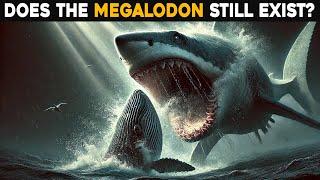 Does The Megalodon Still Exist?