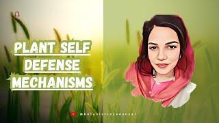 Plants self Defense Mechanisms Explained By The Botanist | #botany #botanist #plants #herbs #video