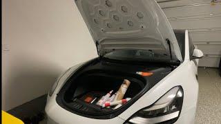 How to PPF Your Tesla | Drive Protected Defense + Paint Protection Film! Now Hydrophobic!