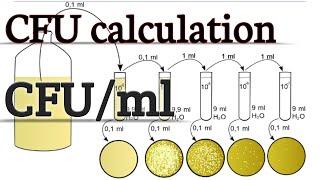 How to Calculate CFU||Microbiology Technique | Colony Forming Unit|knowledge of biology