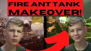 Ant Tank Makeover With ANTSCAPES!