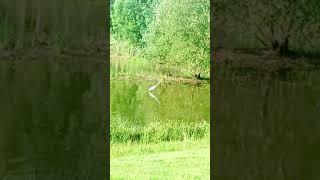Красивая живая природа ️.