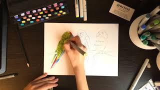 Tutorial Parrots. Speed Painting with Markers