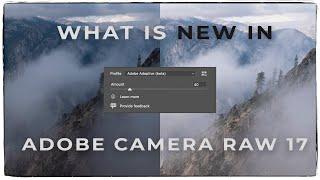 What's New in Adobe Camera Raw 17? Must-Try Tools & Updates!