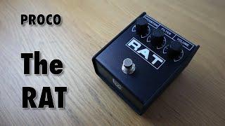 ProCo RAT Distortion