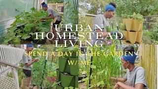 VLOG | Urban Homestead Living | My Fault | Herbs + Hand Pollination + Harvest | (Day in the Garden)