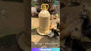 Dude's Making Chick Feeders from TRASH?! ️ Peak Farmer Ingenuity! #diy #chickenhacks #farminglife