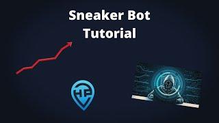 WHAT IS A SNEAKER BOT? | Sneaker Bot Tutorial by HypePointEU