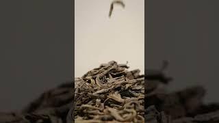 Video edit sample 246