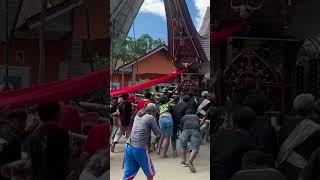 Toraja unik akan budaya dan adatnya #creativecontentcreator #wisata #youtube