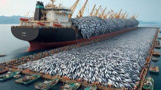How European fishermen catch hundreds of tons of salmon and shrimp with trawls in the Pacific Ocean