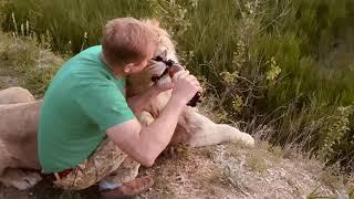 Вы ДОЛЖНЫ УВИДЕТЬ ЭТО ВИДЕО ! Лев и Человек ...без слов ! Russian Lion man !