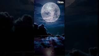 #best #moon #best moonshine