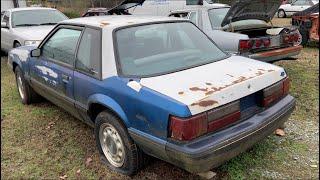 Georgia Highway Patrol Mustang (GOOD FIND!!)