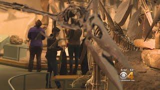 Free Admission For Federal Employees To Denver Museum Of Nature & Science