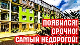 ПОЯВИЛСЯ!!! СРОЧНО!! САМЫЙ НЕДОРОГОЙ!!! Сочи. Недвижимость. АК Арт Лайт Сити