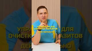 УПРАЖНЕНИЯ ДЛЯ ОЧИСТКИ ОТ ПАРАЗИТОВ #андрейгалкин #остеопатия #паразиты