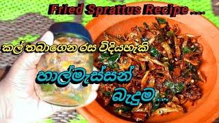 Sri Lankan Fried Sprattus Recipe   කල්තබාගෙන රස විදියහැකි හාල්මැස්සන් බැදුම ....