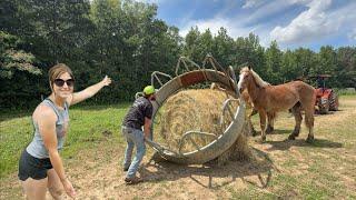 Feeding Chickens & Horses + Epic Pine Post Sawing | Farm Life Adventures!