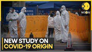 New Study Supports Covid-19 Origin Theory Linked to Wuhan Market | Latest English News | WION