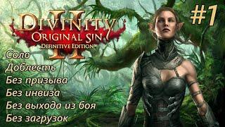 Прохождение Divinity: Original Sin 2 [DE]. Доблесть. Соло. Без инвиза, загрузок и выхода из боя #1