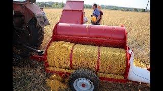 Уборка тыквы. Тыквоуборочный комбайн 1500 мм. Pumpkin seed harvest machines.