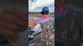 Kokanee #kokaneefishing @JUNationFishing