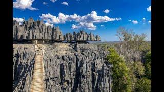 The Labyrinth of Stone Forests: Tsingy de Bemaraha #Madagascar Biodiversity #education