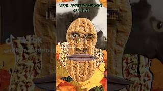 What Is Bizarre Nutter Butter TikTok #viralvideo