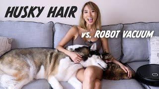 Testing out DOG HAIR vs. ROBOT VACUUM: ECOVACS DEEBOT U2 PRO