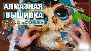 Алмазная вышивка "Сова"