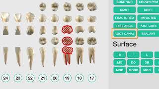 Dental Assisting - Patient Exam