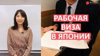 Рабочая виза в Японии. Международная академия Йокогама