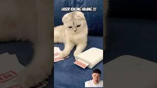 Laser kucing #cat #pets #catlover #kitten #кот #cutecat #funny #cute #animal #cats