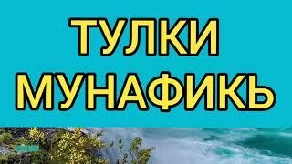 ТУЛКИ-МУНАФИКЬ