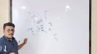 CNS Lesion Localisation by Dr. Gireesh Kumar K P || Simplified Version # AETCM