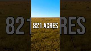 Cheap RAW Texas Land for sale!  #landforsale #texas